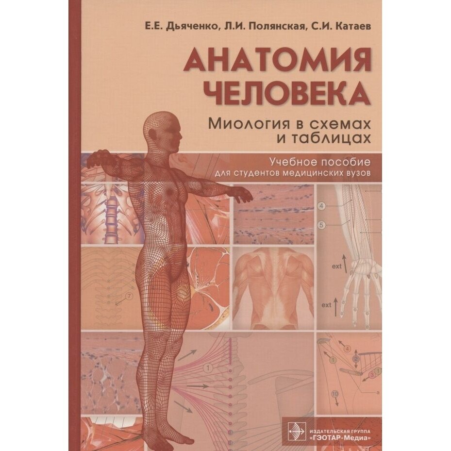 Анатомия человека. Миология в схемах и таблицах. Учебное пособие - фото №2