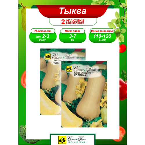 Семена Тыква Новинка среднеспелые 10 шт./уп. х 2 уп.