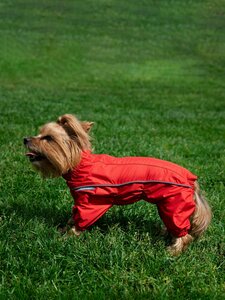 Дождевик для собак OSSO Fashion, размер 28-2 (сука)