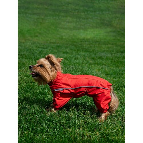 Комбинезон дождевик для собак, от грязи и дождя, размер 32-2 самка