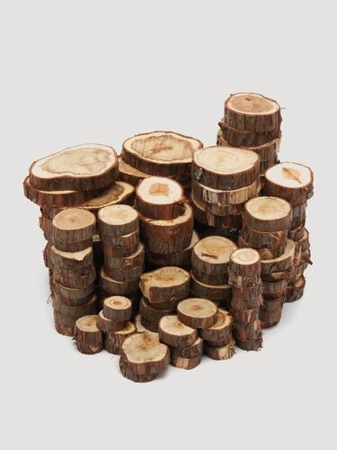 Изображение товара Спилы можжевельника , 1 кв. м. или 500 шт. набор спилов можжевельника, диаметр 3-9 см.