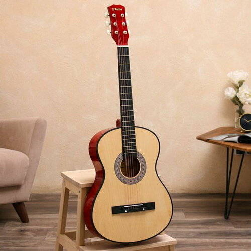 Акустическая гитара TF-3805A NA, цвет натуральный гитара акустическая terris tf 3805a na цвет натуральный