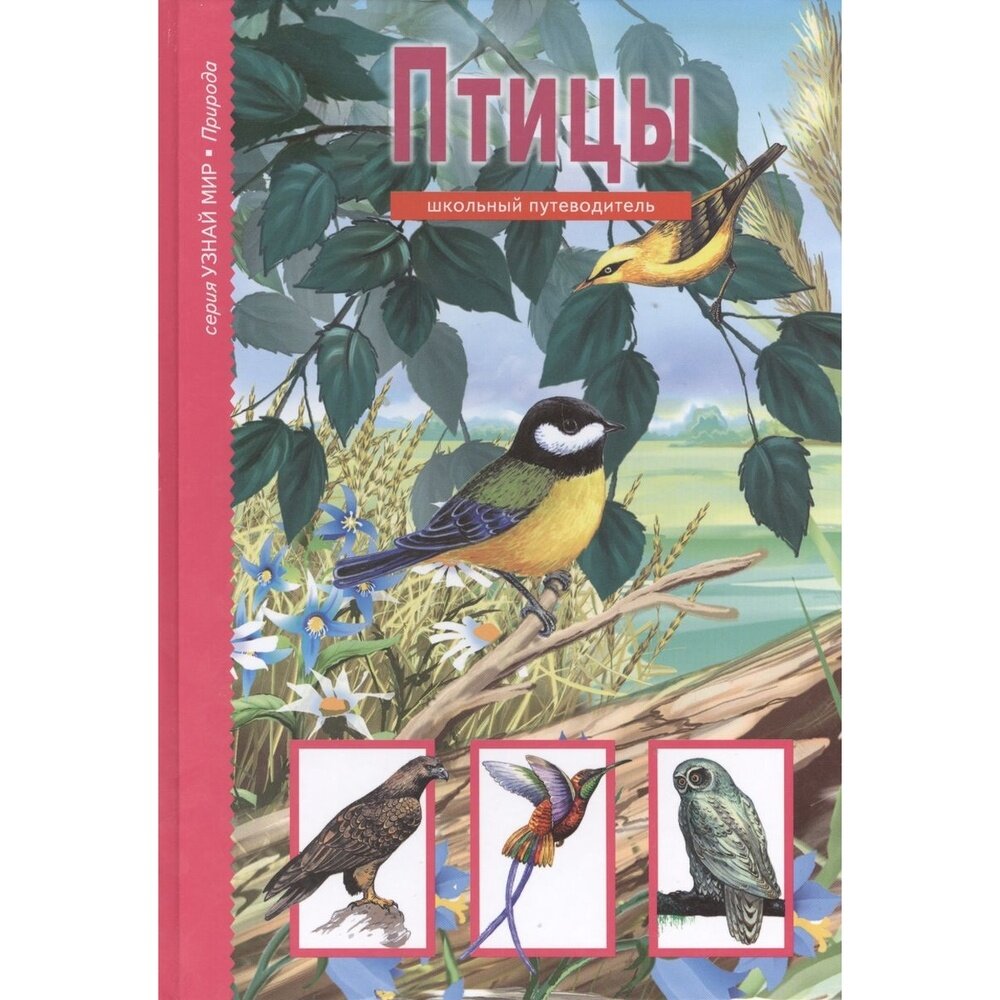 Книга Балтийская книжная компания Узнай мир. Птицы. Школьный путеводитель. 2019 год, Ю. Дунаева