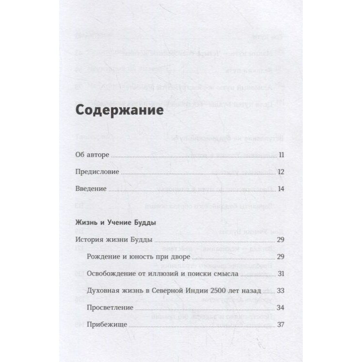 Каким все является. Живой подход к буддизму в современном мире - фото №13