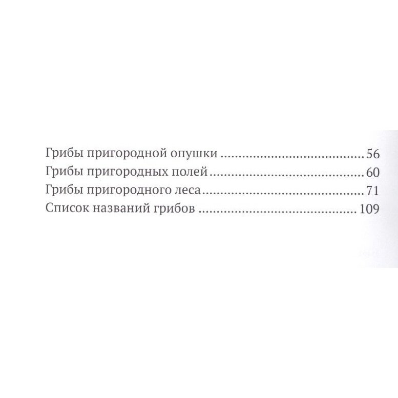 Путеводитель по грибным местам. Город и окрестности - фото №4