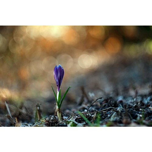 Мануальный портретный макро-объектив с крученым боке Гелиос 44-2 для Canon EOS преврати свои фотографии в произведения искусств 648000₽