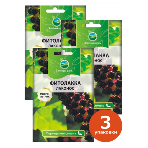 Семена Фитолакка Лаконос, 3 упаковки по 10 сем.