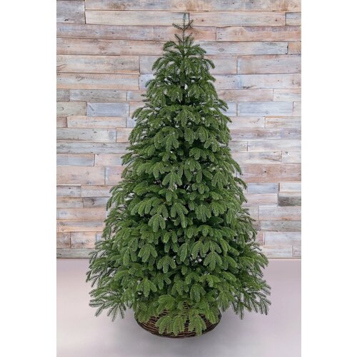 Елка Black Box 74559 зеленый