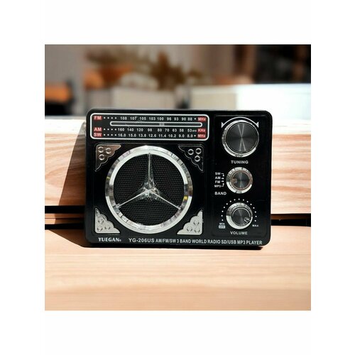 Радиоприемник аккумуляторный с флешкой 99900₽