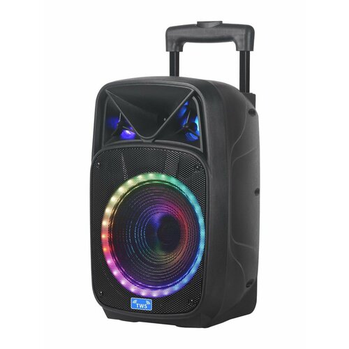 Портативная песпроводная колонка NDR-W1312 979900₽