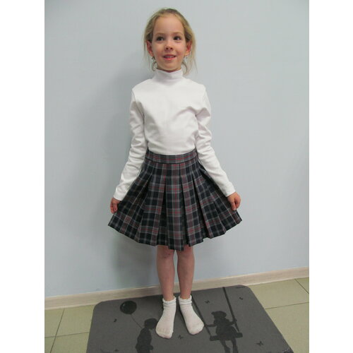 Школьная юбка Классики, размер 36, серый, красный