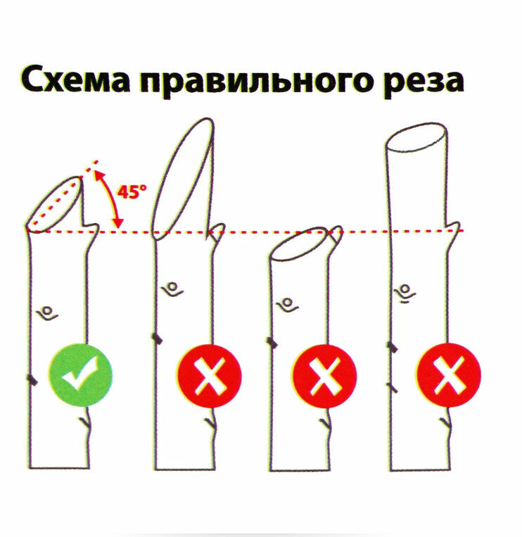 Ножницы универсальные - фотография № 3