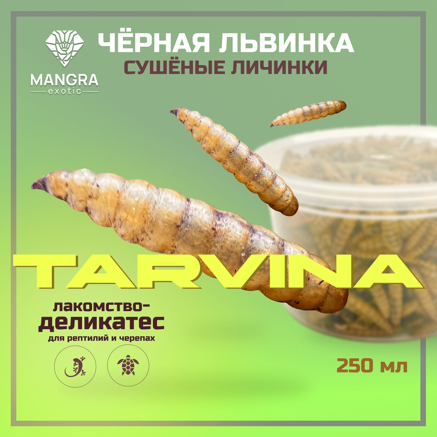 MANGRA exotic TARVINA 250 мл - личинки черной львинки (сухой корм для черепах и рептилий)
