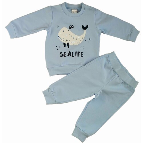 Комплект одежды   детский, повседневный стиль, трикотажный, манжеты, размер 80р./12-18, голубой