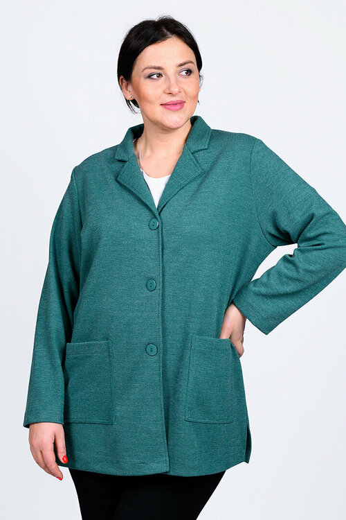 Пиджак SVESTA, размер 60, зеленый