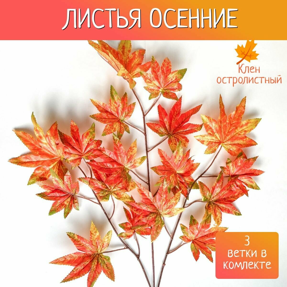 Осенние листья для декора клен остролистный 3 ветки