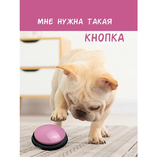 Кнопка для дрессировки собак с записью голоса кликер для дрессировки домашних животных игрушка для кошки и собаки розовая 620₽