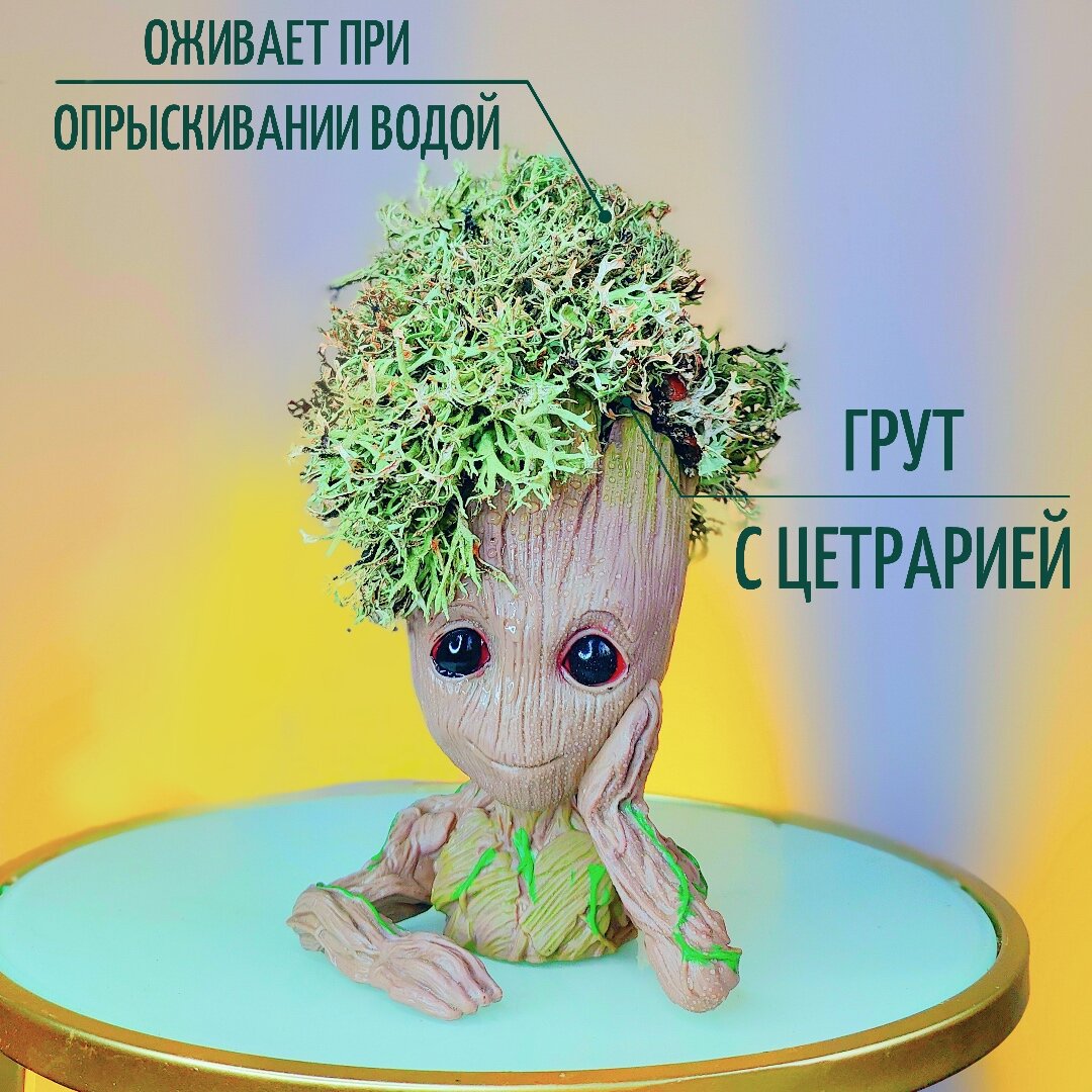 Грут