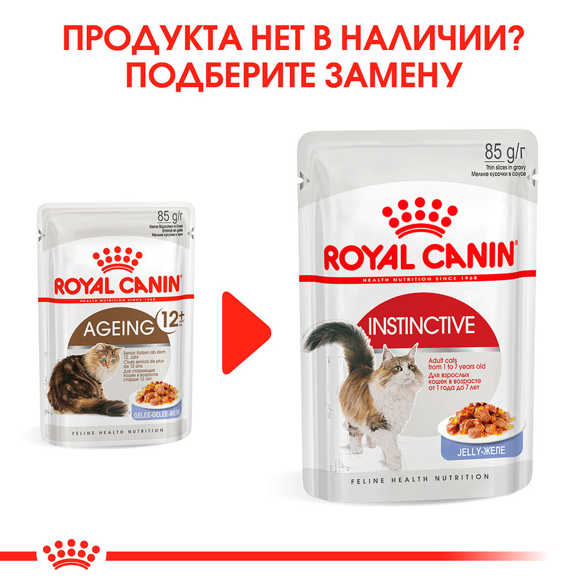 Корм для кошек ROYAL CANIN - фото №12