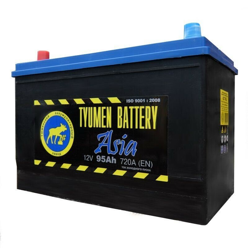 Аккумулятор Tyumen Battery Asia 95 А. ч прям. пол. 750A (306x173x225) 115D31R