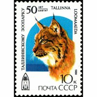 Почтовые марки СССР 1989г. "50-летие Таллинского зоопарка" Кошки MNH