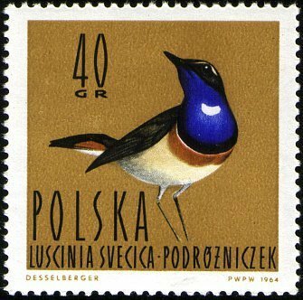 (1964-034) Марка Польша "Варакушка" Водоплавающие птицы II Θ