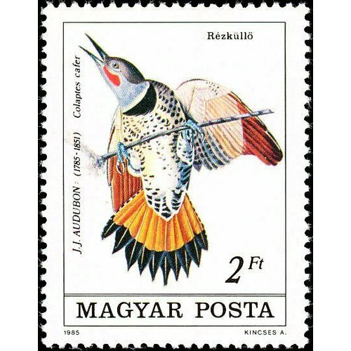 (1985-029) Марка Венгрия Дятел Птицы II Θ