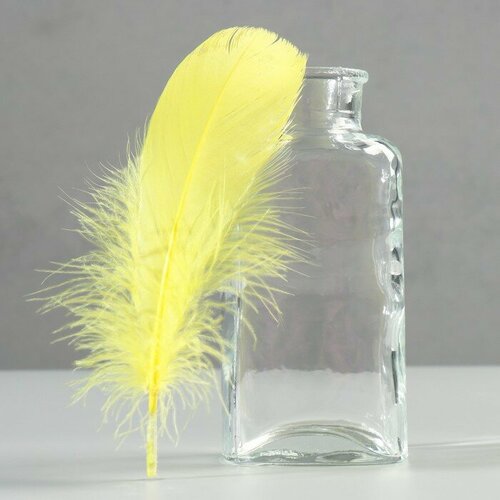 Набор перьев гуся 13-18 см 20 шт жёлтый 598₽