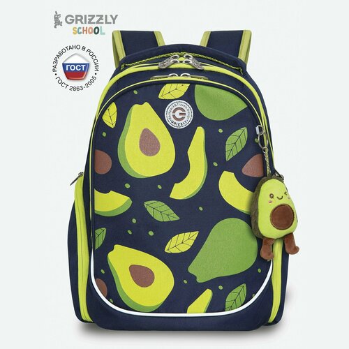 Рюкзак школьный с анатомической спинкой, тремя отделениями, для девочки RG-368-3/1