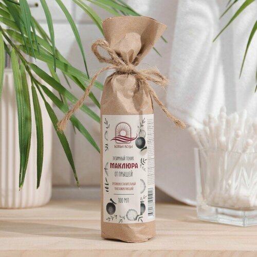 Божьи Воды Энзимный тоник от прыщей Маклюра противовоспалительный, 100 мл