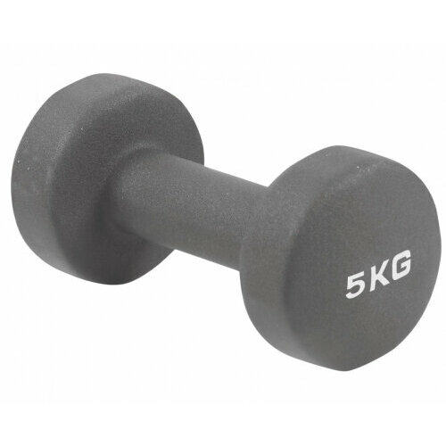Гантель для аэробики Prctz неопреновая NEOPRENE DUMBBELL, 5 кг.