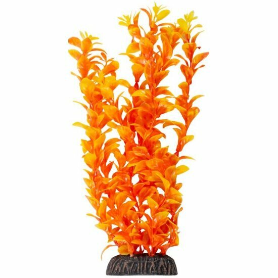 Растение Laguna "Людвигия" ярко-оранжевая, 300мм