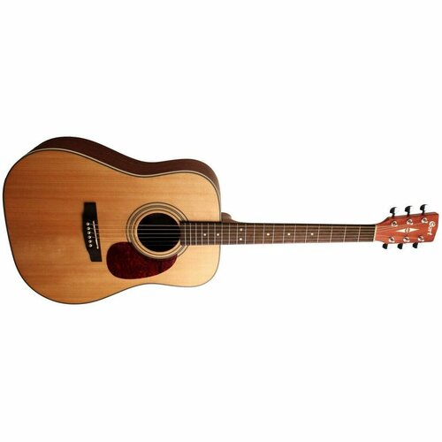 Акустическая гитара Cort EARTH70-OP-WBAG ad mini m wbag op standard series акустическая гитара 3 4 с чехлом натуральный cort