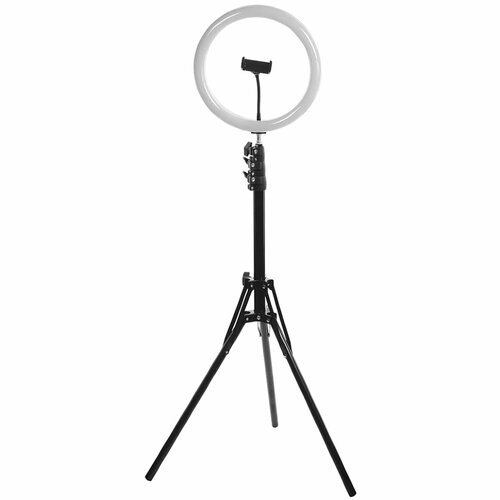 Осветитель кольцевой FUJIMI FJL-RING12 379000₽