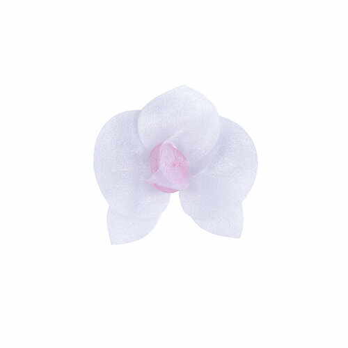 BLITZ 43 Цветок Орхидея №05 бело-розовый