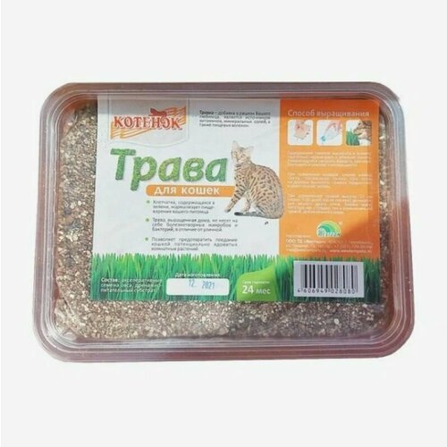 Травка для кошек в большом контейнере, 3 уп