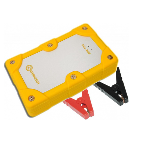 SIN203 черно-желтый 290000₽