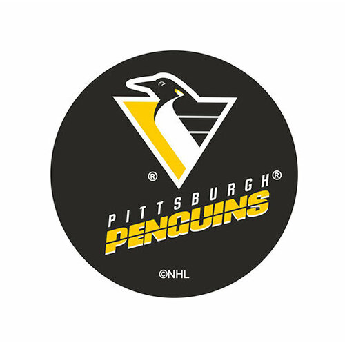 фото Шайба rubena pittsburgh penguins 1993-1999