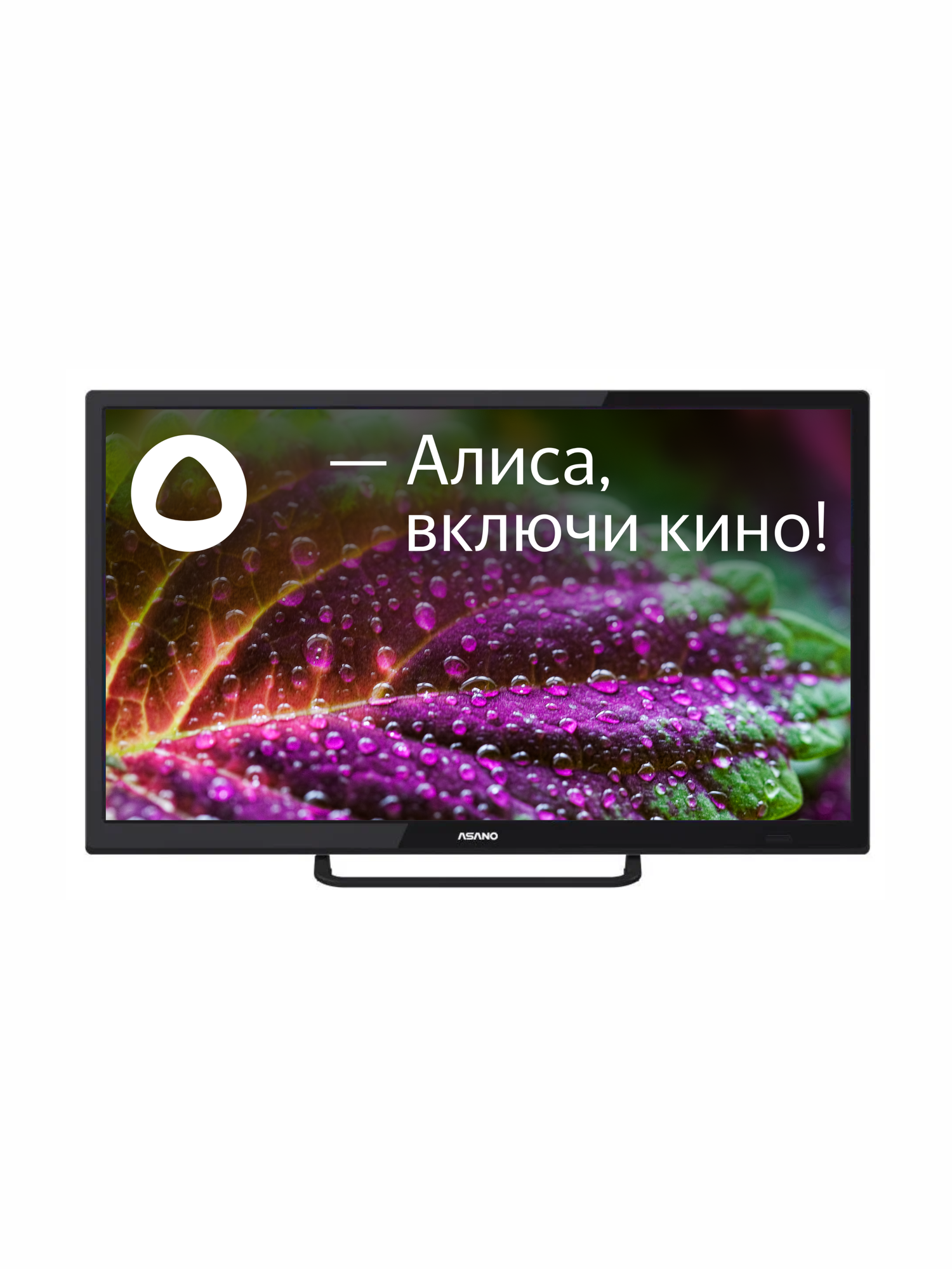 Телевизор смарт с Алисой 32" HD Asano 32LH8110T