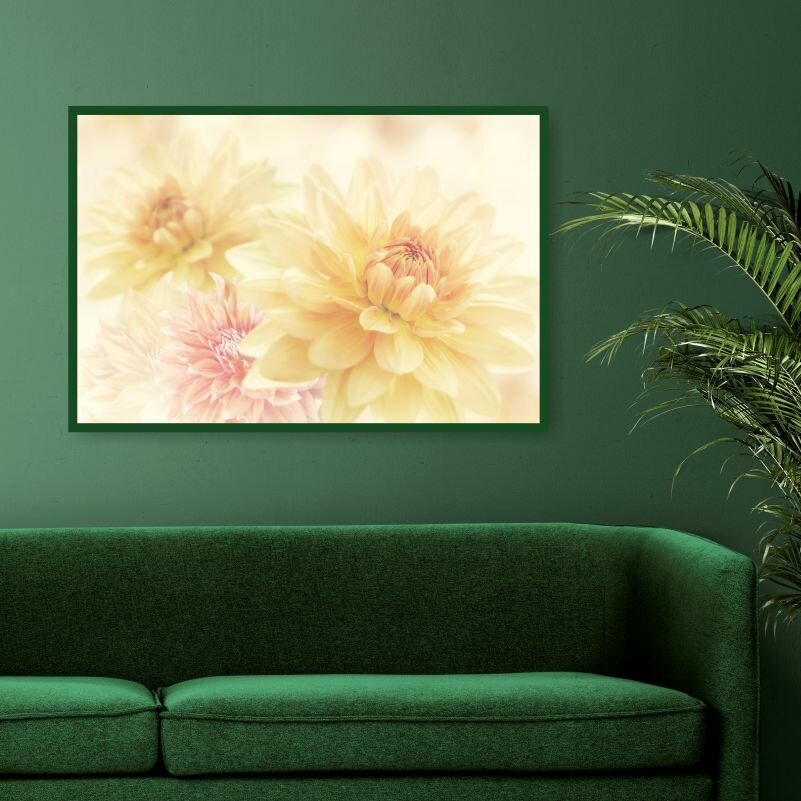 Постер для интерьера Желто-РозовыеЦветы Георгина 40х30 см в тубусе ПолиЦентр