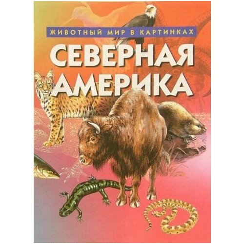 Северная америка. Животный мир в картинках.