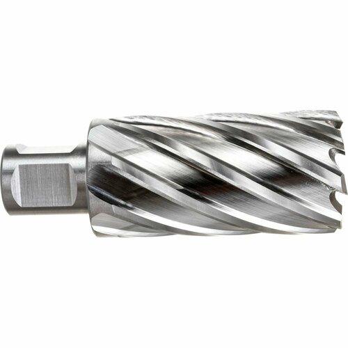 ROTORICA Кольцевая фреза HSS 32x55 RT4215032 6144₽