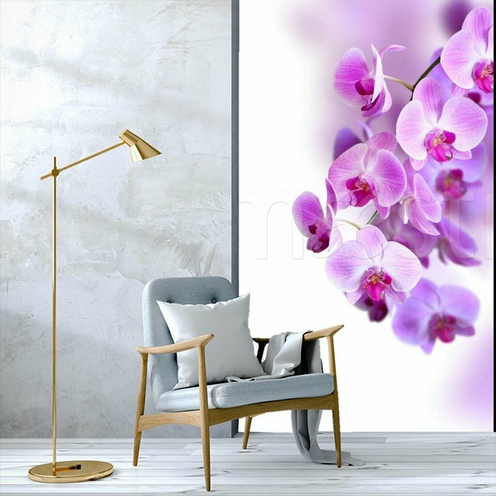 Фотообои Розовая орхидея изящная 275x183 (ВхШ), бесшовные, флизелиновые, MasterFresok арт 10-173