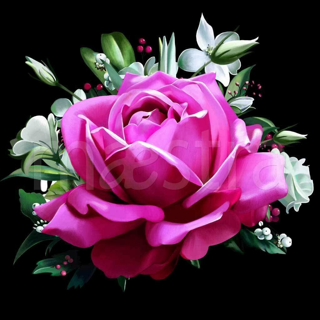 Фотообои Бутон розы на черном фоне 275x275 (ВхШ), бесшовные, флизелиновые, MasterFresok арт 10-324