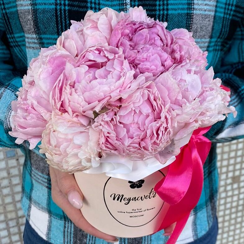 Букет Мегацвет24 "Розовый Зефир" пионы Сара Бернар в шляпной коробке