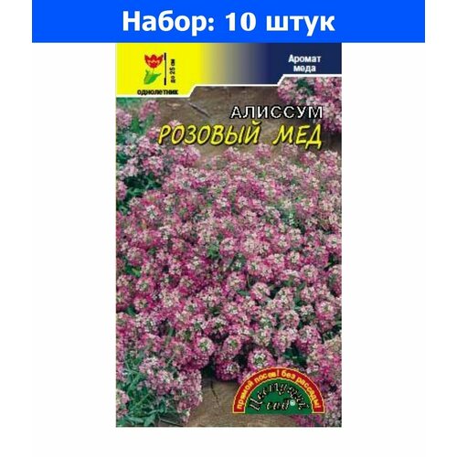 Алиссум Розовый мед 0.05г Одн 25см (Цвет сад) - 10 пачек семян