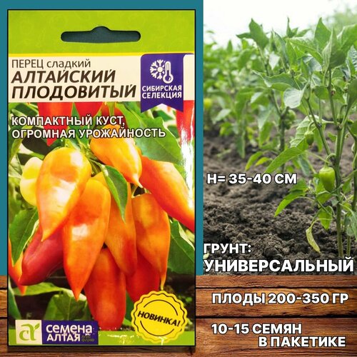 Перец Алтайский Плодовитый 1 шт, компактный, урожайный, скороспелый, ароматный, вес семян в пакетике 0,1 гр