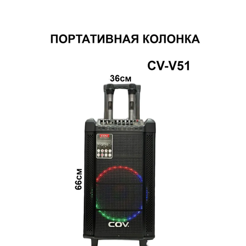 Беспроводная портативная колонка CV-V51