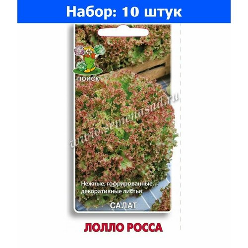 Салат Лолло Росса листовой 1г Ср (Поиск) - 10 пачек семян салат лолло росса листовой 0 5г ранн урожай удачи 10 пачек семян