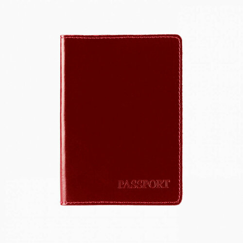 Обложка для паспорта Вектор красный 590₽